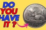 This ‘Common’ Quarter Just Became One of The Most Wanted Coins in America